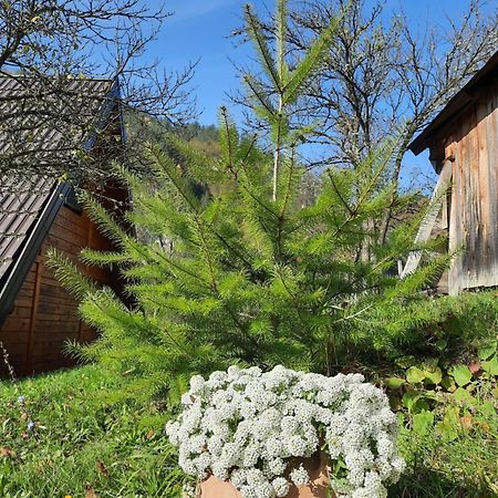 Vikendica Neven Zaovine Exterior foto
